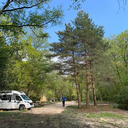 Nightjar Cabin At Cloudshill Glade Wareham Extérieur photo