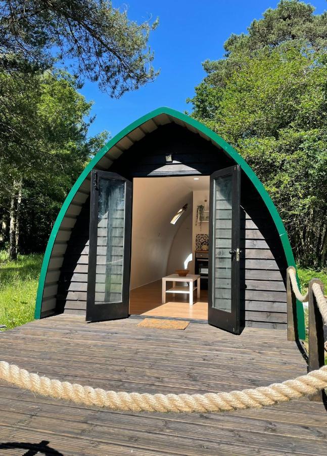 Nightjar Cabin At Cloudshill Glade Wareham Extérieur photo