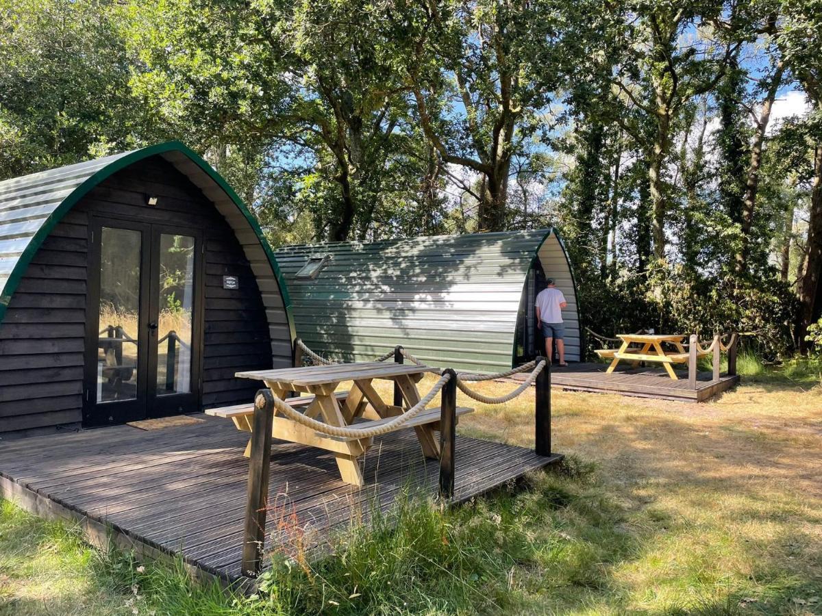 Nightjar Cabin At Cloudshill Glade Wareham Extérieur photo
