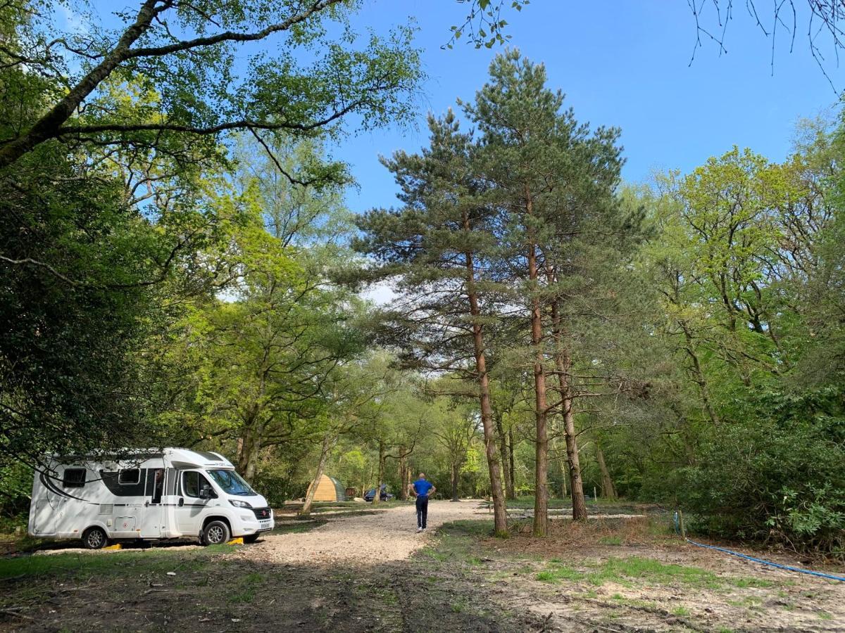 Nightjar Cabin At Cloudshill Glade Wareham Extérieur photo